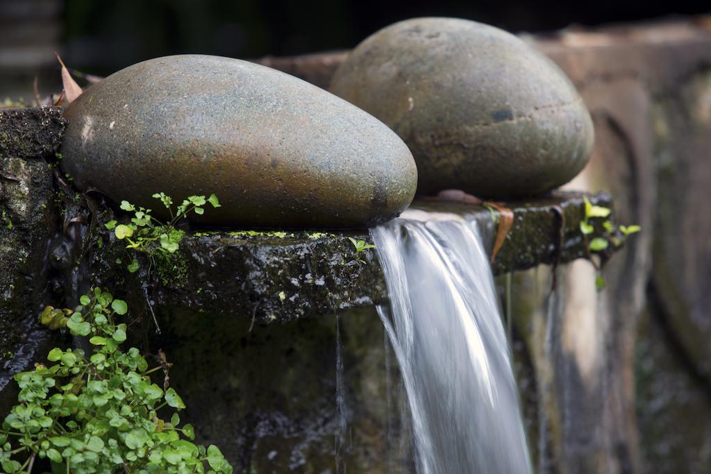 Quinta Sauz Tacámbaro de Codallos Exterior foto